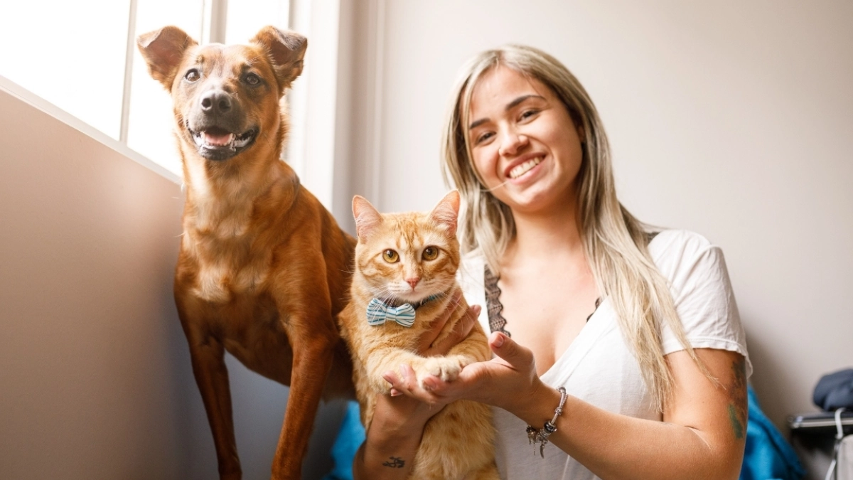 custodia de mascotas