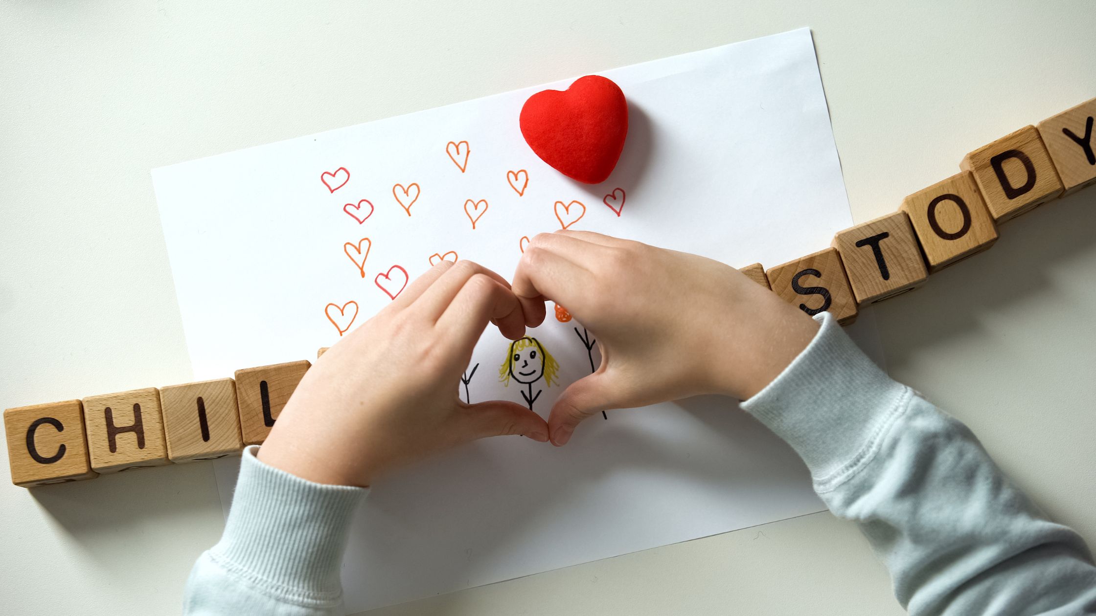 Los tipos de custodia que hay