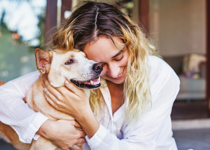 Abogado custodia compartida mascotas