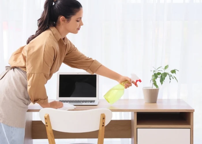 pedir pensión compensatoria