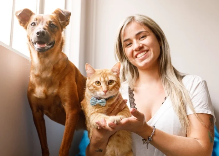 custodia de mascotas