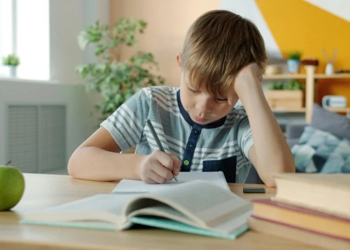 derechos progenitor no custodio