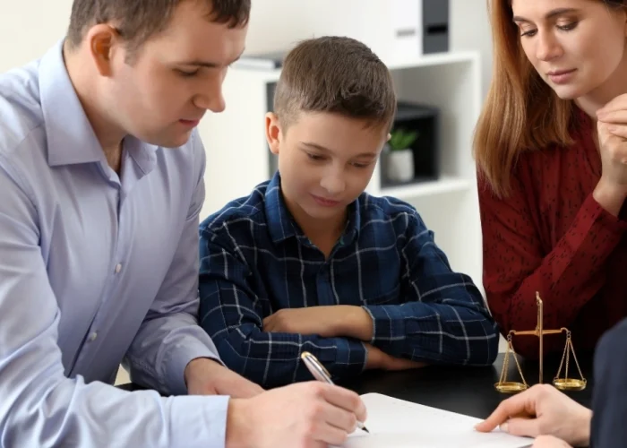 modificaciones de la custodia