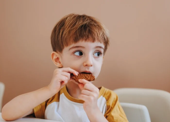 que es pensión alimentos