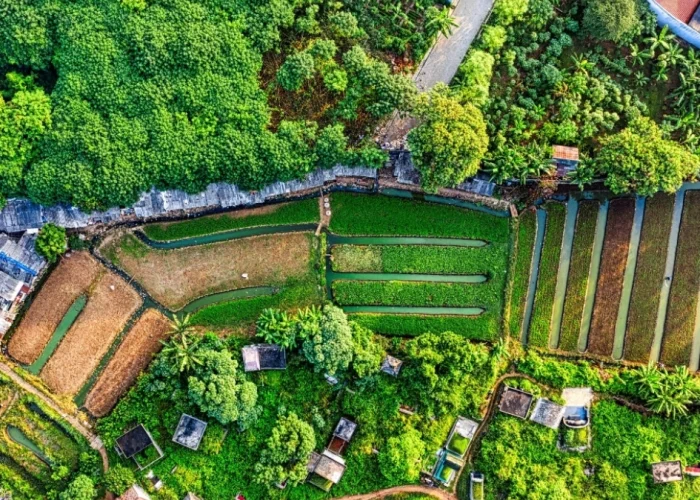 que es segregación de fincas